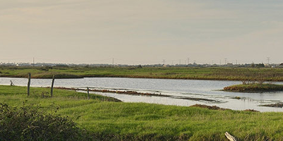 Les marais charentais