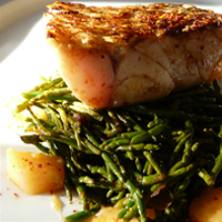 Les recettes de salicorne des marais charentais