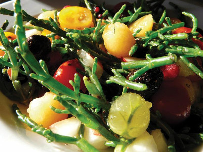 recette Salicorne des marais charentais Signe Poitou-Charentes